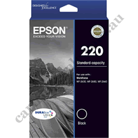 Genuine Epson T2931/220 Black Ink Cartridge
