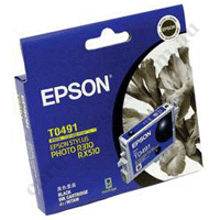 Genuine Epson T0491 Black Ink Cartridge