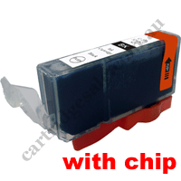 Compatible Canon CLI521BK Black Ink Cartridge (With Chip)